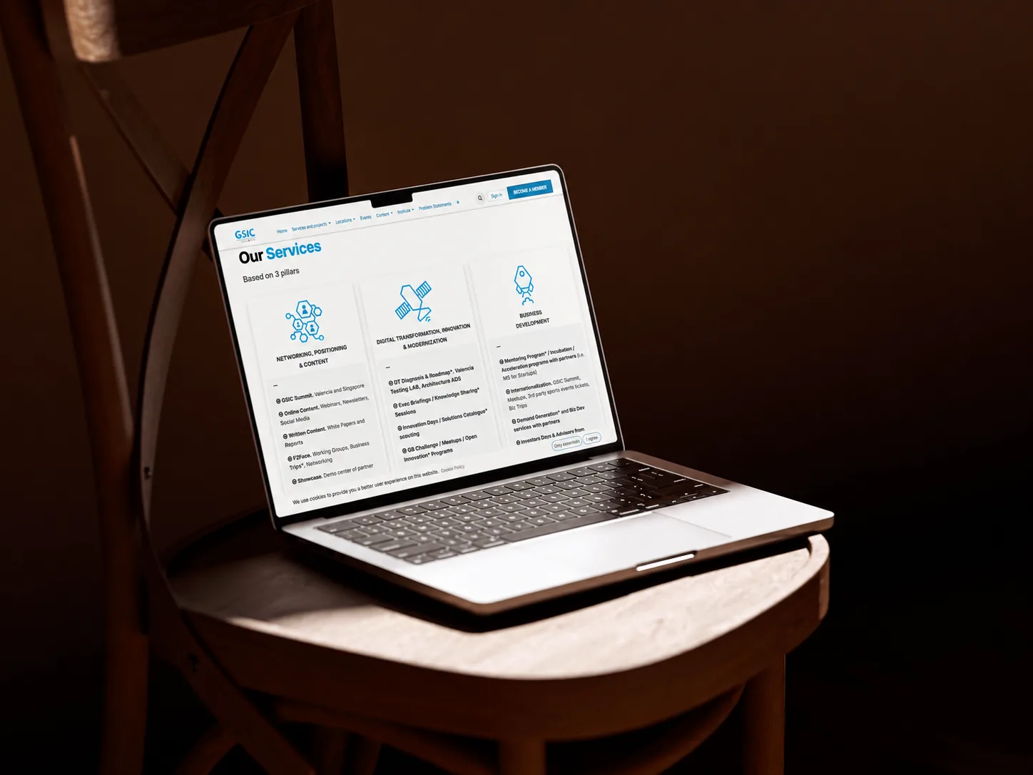 GSIC website services page