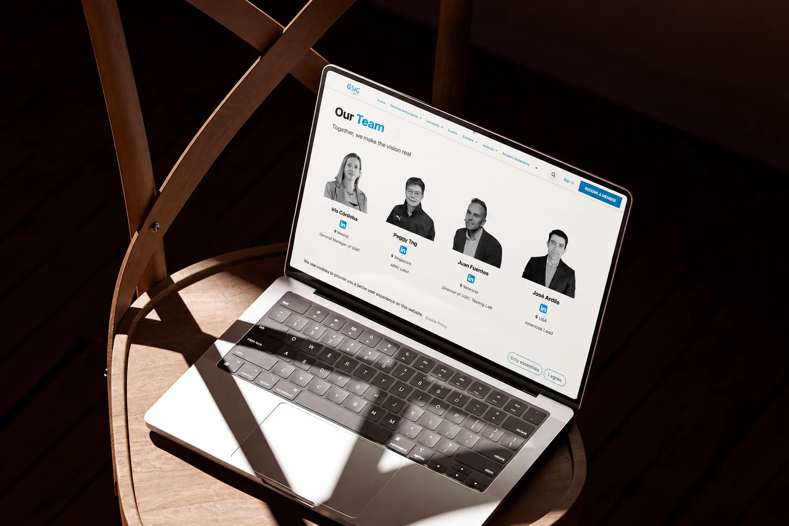 GSIC website team page